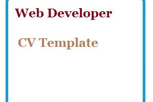 Web Developer CV Template