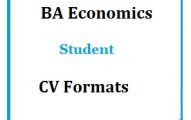 BA Economics Student CV Formats